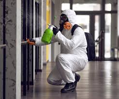 Why You Should Choose Our Mold Remediation Services in Natalia, TX